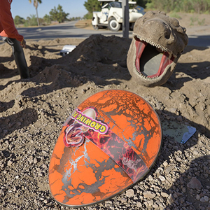 Nở Khủng Long Trứng Nước Phát Triển Vật Nuôi Đồ Chơi - Product Image 6