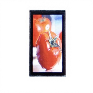 Écran LCD TFT miniature 0,96 pouces avec pilote SPI <span class=keywords><strong>ST7735</strong></span>, référence GMT096-1 80x160 - Product Image 1