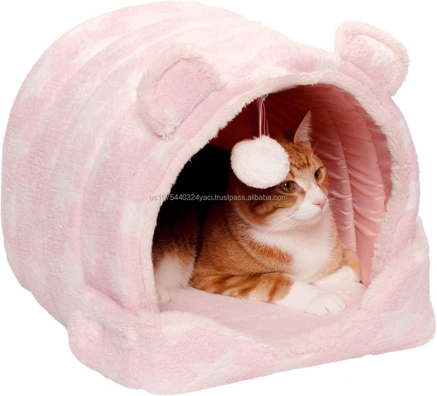 ดาวสีชมพู