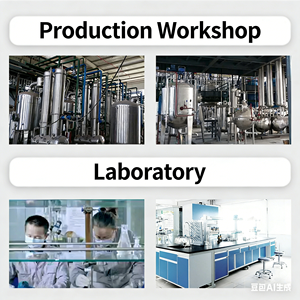 Bladgras-<span class=keywords><strong>extract</strong></span>, geconcentreerd bladgraspoeder, bladgras-eiwitpoeder, grondstofproductie van plantenextracten - Product Image 3