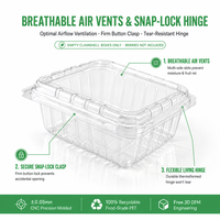 Boîte en PET transparente personnalisée pour myrtilles, fraises, fruits frais ventilés, emballage de produits horticoles avec couvercle à charnière OEM