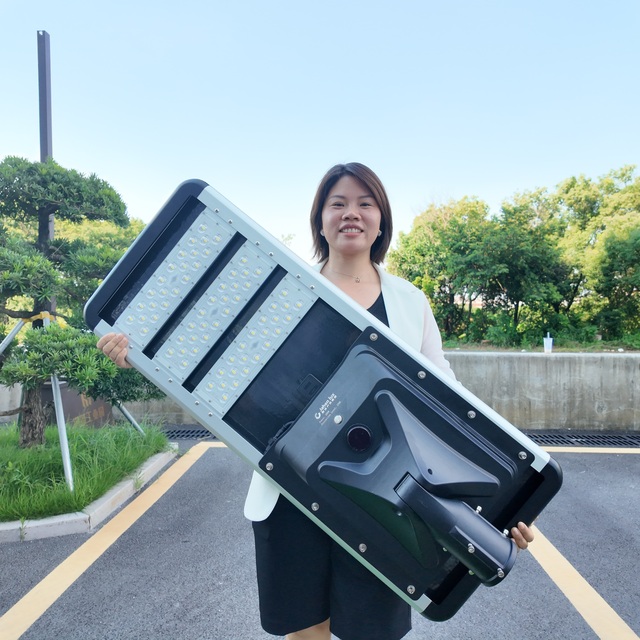 All in One Solar Street Light Integrated Aluminum LED Road Lamp IP66 Waterproof High Power Outdoor Solar Powered Light