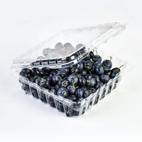 Boîte à fruits jetable en PET de 1,5 lb, emballage blister, conteneur en plastique pour fraises, raisins, myrtilles, à emporter, pour la conservation des aliments frais