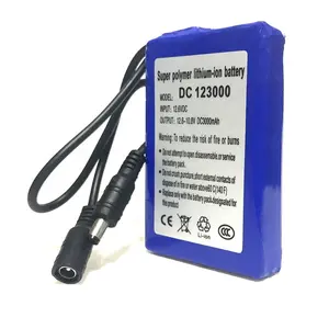 חבילת סוללות ליתיום יון DC 12300 12V 3000mAh עם מחבר 5521 ומטען למערכת ניטור אבטחה