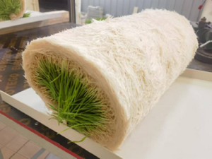 Système <span class=keywords><strong>de</strong></span> culture hydroponique complet et économique en seau - Product Image 2