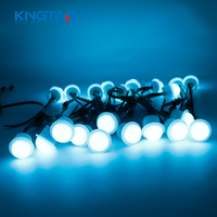 Lumières LED RGB SMD de haute qualité 26 mm, entrée DC12V, indice de protection IP67, puce Sanan, éclairage décoratif extérieur à intensité variable