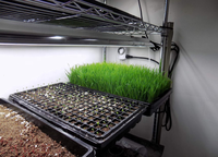 Serre 20 x 10 pouces, plateaux de semis parfaits pour les plantes, plateaux de semis en polystyrène pour pépinière, plateau de semis hydroponique