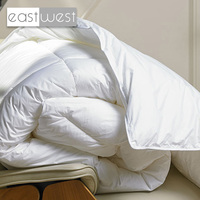 East West Marriott Hotel Grand Couette alternative en duvet blanc Four Seasons Polyester Filling Hotel Suite Style Couette Insert