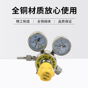 Régulateur de pression d'ammoniac Yqa 401 0,16*6Mpa en acier inoxydable, monophasé, pour utilisation avec l'ammoniac - Product Image 5