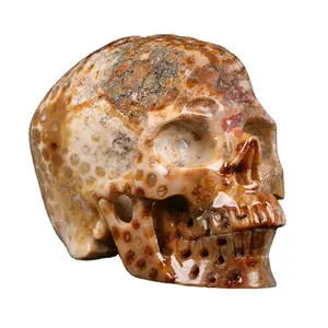 Mr skull Wholesale high quality crystal carving skulls natural Coral Fossil Jasper skulls healing crystals collection