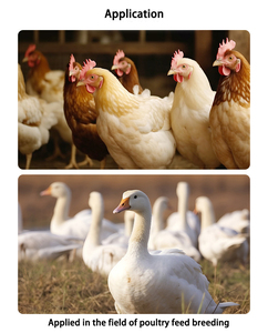 Manufacture Supply Poultry Enzyme for <strong>Feed</strong> <strong>Additive</strong> - Product Image 3