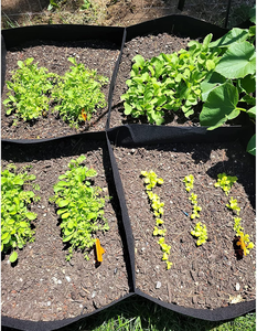 先锋毛毡织物凸起花园床透气多网格植物生长袋6 8格可重复使用蔬菜播种盒 - Product Image 5