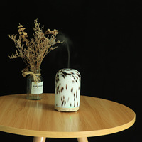 Lampe d'aromathérapie à imprimé léopard 24V USB, nouvelle arrivée, éclairage 7 couleurs, diffuseur d'arômes en verre 100ML, humidificateur ultrasonique avec minuterie