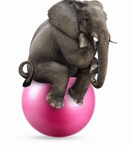 Trung Quốc 2024 chất lượng cao bán sinh thái thân thiện phòng tập thể dục Pilates tập thể dục mềm PVC Tùy chỉnh yoga bóng - Product Image 3