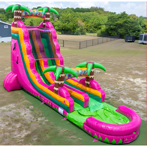 Glissade <span class=keywords><strong>gonflable</strong></span> rose colorée personnalisée en usine, glissade <span class=keywords><strong>gonflable</strong></span> pour <span class=keywords><strong>piscine</strong></span>, château <span class=keywords><strong>gonflable</strong></span>, glissade aquatique <span class=keywords><strong>gonflable</strong></span> pour fête d'enfants - Product Image 2