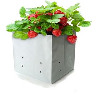 Sacs de plantation DaringFish en PE épais noir et blanc, découpés à chaud, pour la culture de légumes et de semis <span class=keywords><strong>dans</strong></span> les fermes, les balcons et les cours - Product Image 1