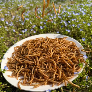 Gusanos de harina secos sin aditivos y altos en proteínas, directamente de fábrica, para alimento de aves, que realzan el color de las plumas - Product Image 1