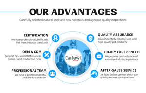 Champú Orgánico de Alta Calidad <span class=keywords><strong>para</strong></span> Mascotas, Ecológico, <span class=keywords><strong>para</strong></span> el Cuidado de Perros y Gatos, Producto <span class=keywords><strong>para</strong></span> el Cuidado de las Mascotas, Champú Antipulgas y <span class=keywords><strong>Garrapatas</strong></span> <span class=keywords><strong>para</strong></span> Perros y Gatos - Product Image 5