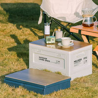 Boîte de rangement pour le camping en plein air, design pliable avec porte latérale, en plastique, style japonais, multi-usages, portable, 42x28x23cm