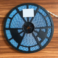Nouvelle Offre 2026 : Bande LED en Plastique Découpable WS2812B, 120/240 LED, Blanc Chaud/Froid, CRI 95, DC12V