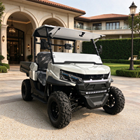 Voiturette de golf électrique avec toit solaire, 2 places, sièges aux couleurs personnalisables et batterie au lithium 48V/72V en option
