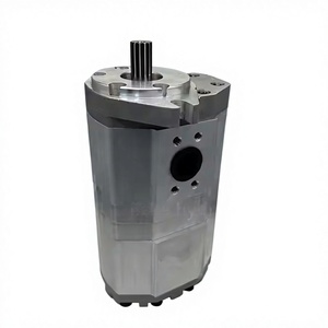 Eje estriado de aluminio ligero al por mayor, bomba hidráulica doble, piezas de repuesto hidráulicas para tractor y minicargadora - Product Image 6