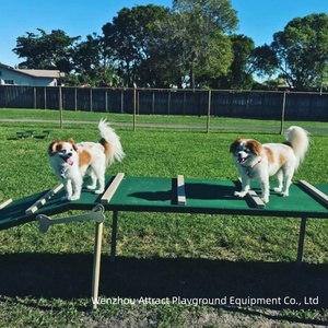 Equipo de Entrenamiento Personalizado <span class=keywords><strong>para</strong></span> Parques Caninos, Guardería <span class=keywords><strong>para</strong></span> Mascotas, <span class=keywords><strong>Parque</strong></span> Infantil al Aire Libre, <span class=keywords><strong>Parque</strong></span> de Agilidad <span class=keywords><strong>para</strong></span> <span class=keywords><strong>Perros</strong></span> en el Patio Trasero - Product Image 6