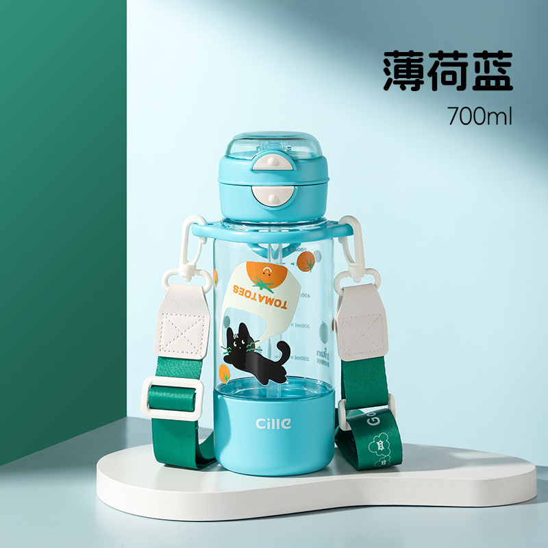 Bleu menthe 700ml