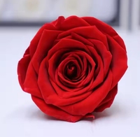 Rose préservée de qualité A 5-6cm Forever Eternal Forever Fleurs et plantes Roses conservées pour la décoration
