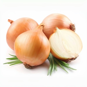 Bulbes d'oignons jaunes frais d'usine de Shandong bon marché oignons frais de haute qualité - Product Image 2