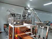 Compteur de vision haute précision VX6 intégré à une machine d'ensachage pour capsules de lessive, noix, bonbons, gommes, gelées, aliments pour animaux, œufs épicés