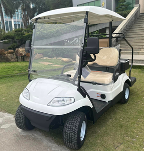 China Factory Street 2 Wheel Drive Tram Golf Cart for Sale HXD-2G - Product Image 2