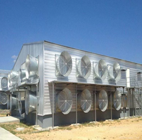 Poulailler préfabriqué à structure en acier | Maison de volaille durable et facile à assembler