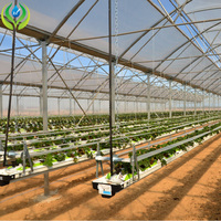Film Plastique MYXL pour Serre Agricole, Résistant aux UV, Serre Tunnel Hydroponique en PE pour Légumes, Faible Coût