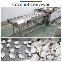 Ligne de production de noix de coco personnalisée, machine à décortiquer, peler, couper et nettoyer les noix de coco, moteur haute capacité, SUS 304, fruits, maïs