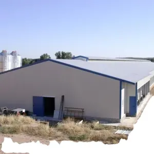 China low cost steel frame chicken layer duck breeding farming house sheds for poultry farm