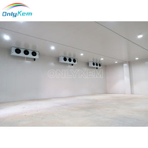 Congélateur à blast <span class=keywords><strong>de</strong></span> qualité industrielle et construction <span class=keywords><strong>de</strong></span> chambre froide et utilisation agricole, stockage frigorifique à <span class=keywords><strong>moteur</strong></span> - Product Image 4