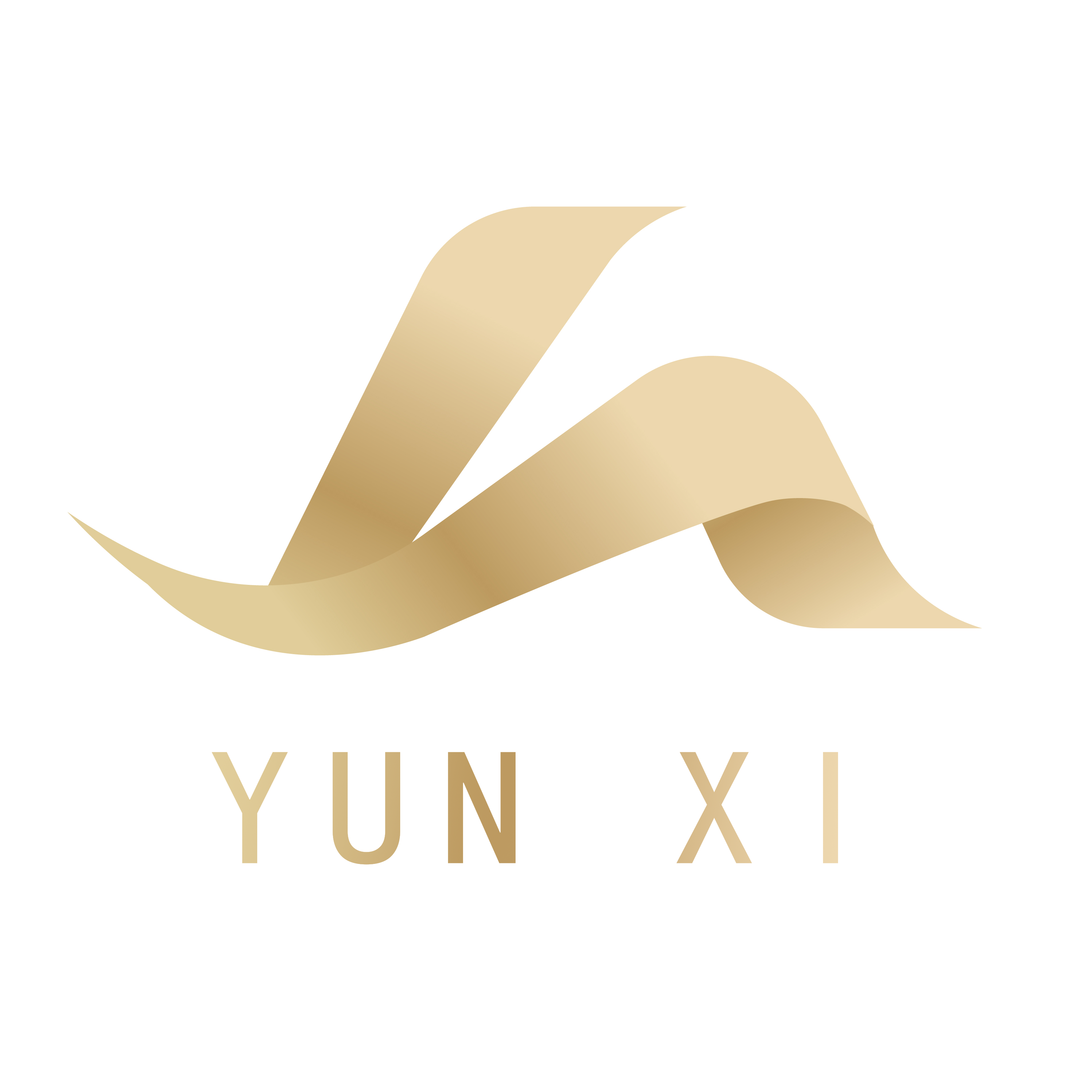 Guangzhou Yunxi Pharmaceutical Biotechnology Co., Ltd. logo