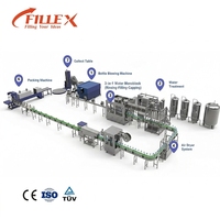 Machine de remplissage d'eau industrielle automatique en acier inoxydable 3-en-1 : Rinçage, remplissage et bouchage pour l'emballage des bouteilles d'eau
