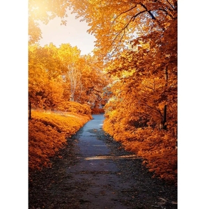 Hutan musim gugur fotografi latar belakang alam foto latar belakang Studio foto <span class=keywords><strong>Vinyl</strong></span> Photophone untuk boneka potret pemotretan - Product Image 3
