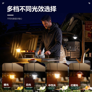 Xinyao Retro Pinecone Camping <b>Light</b> with Long Hook, Waterproof Metal Lamp <b>for</b> Outdoor <b>Tent</b> - Product Image 3