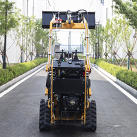 Mini-Kompaktlader mit Radantrieb, Benzinmotor, CE EPA Euro 5, für Schneeräumung, Landschaftsbau und Gartenarbeit, mit Anbaugeräten