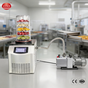 Lyophilisateur standard de l'UE utilisation en laboratoire de paillasse lyophilisateur de venin lyophilisateur sous vide petit laboratoire domestique Liofilizador - Product Image 6