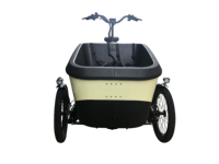 Tricycle électrique ANANDA M81 Ebike 250 Watt à pneus larges, moteur central Bosch, vélo cargo, vélo à glace à vendre