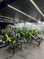 Equipo de gimnasio comercial cargado con placa Máquina de remo plana para ejercicio trasero