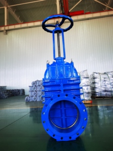 วาล์วประตูแบบแมนนวลมาตรฐานเยอรมัน DN50-DN1200 พร้อมซีลแข็ง แหวนซีลทองเหลือง ก้านวาล์วแบบยก รองรับการปรับแต่ง - Product Image 4