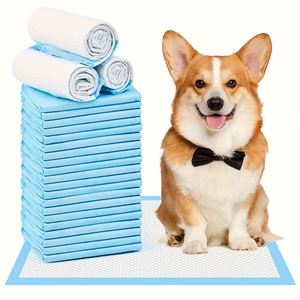 Nouvel arrivage 2026 : Tapis d'entraînement jetables pour chiens – Fournitures d'éducation canine très demandées - Product Image 1