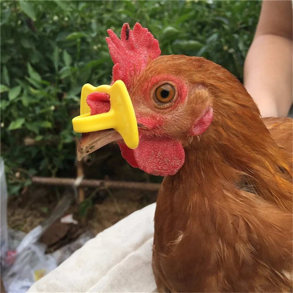 100 Hühnerbrillen – Anti-Pecking Augenbrillen Für Hühner & Fasane, Ohne Pin, Für 1–4,5 Kg Schwere Hühner