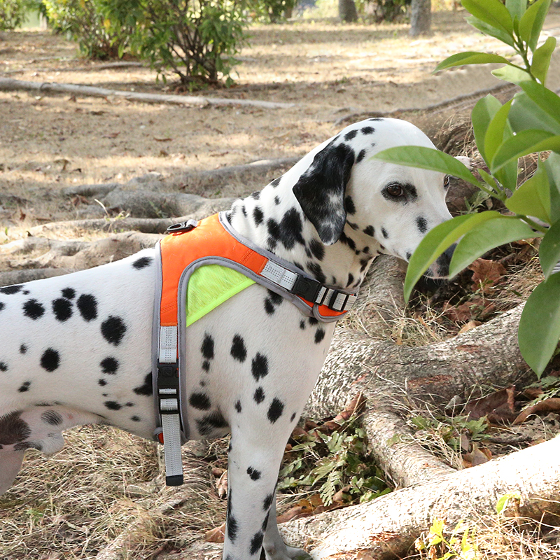 Customized Hot selling Pet Leash Set With Reflective Strips Comfortable Breathable Harness For Pet Dog