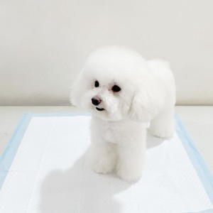 Coussin rafraîchissant en gel pour chien, imperméable, grande taille, pour l'été, fabriqué en usine - Product Image 2